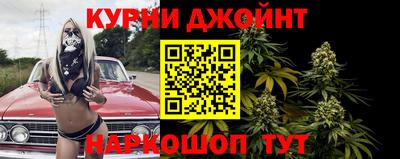 мдпв Бердск