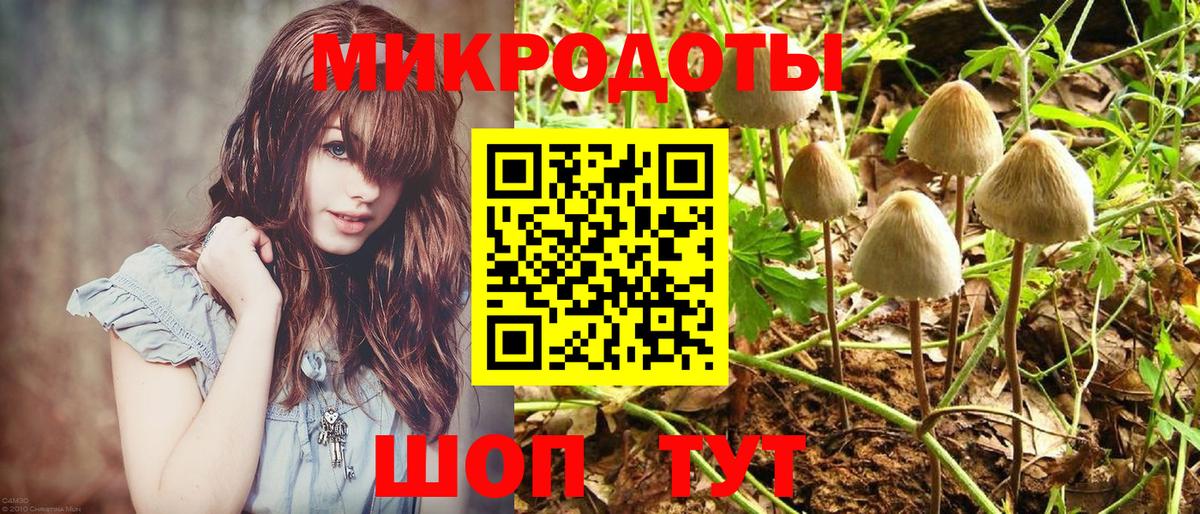 Псилоцибиновые грибы прущие грибы Городец
