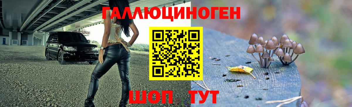 Галлюциногенные грибы GOLDEN TEACHER  Псилоцибиновые грибы мухоморы  Городец  купить наркотики сайты  Вход с VPN 